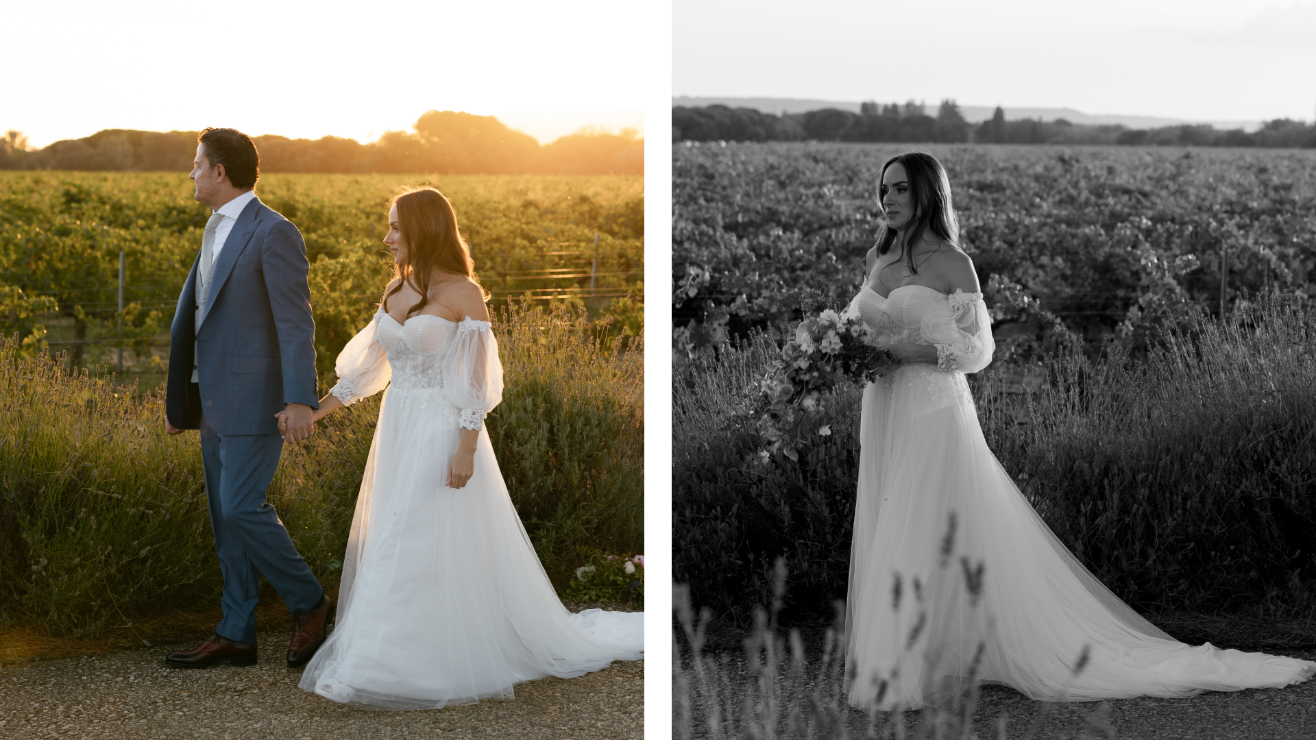 Los novios se abrazan frente a los viñedos de Abadía Retuerta al atardecer