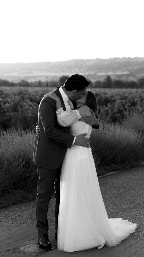 Los novios se abrazan frente a los viñedos de Abadía Retuerta al atardecer