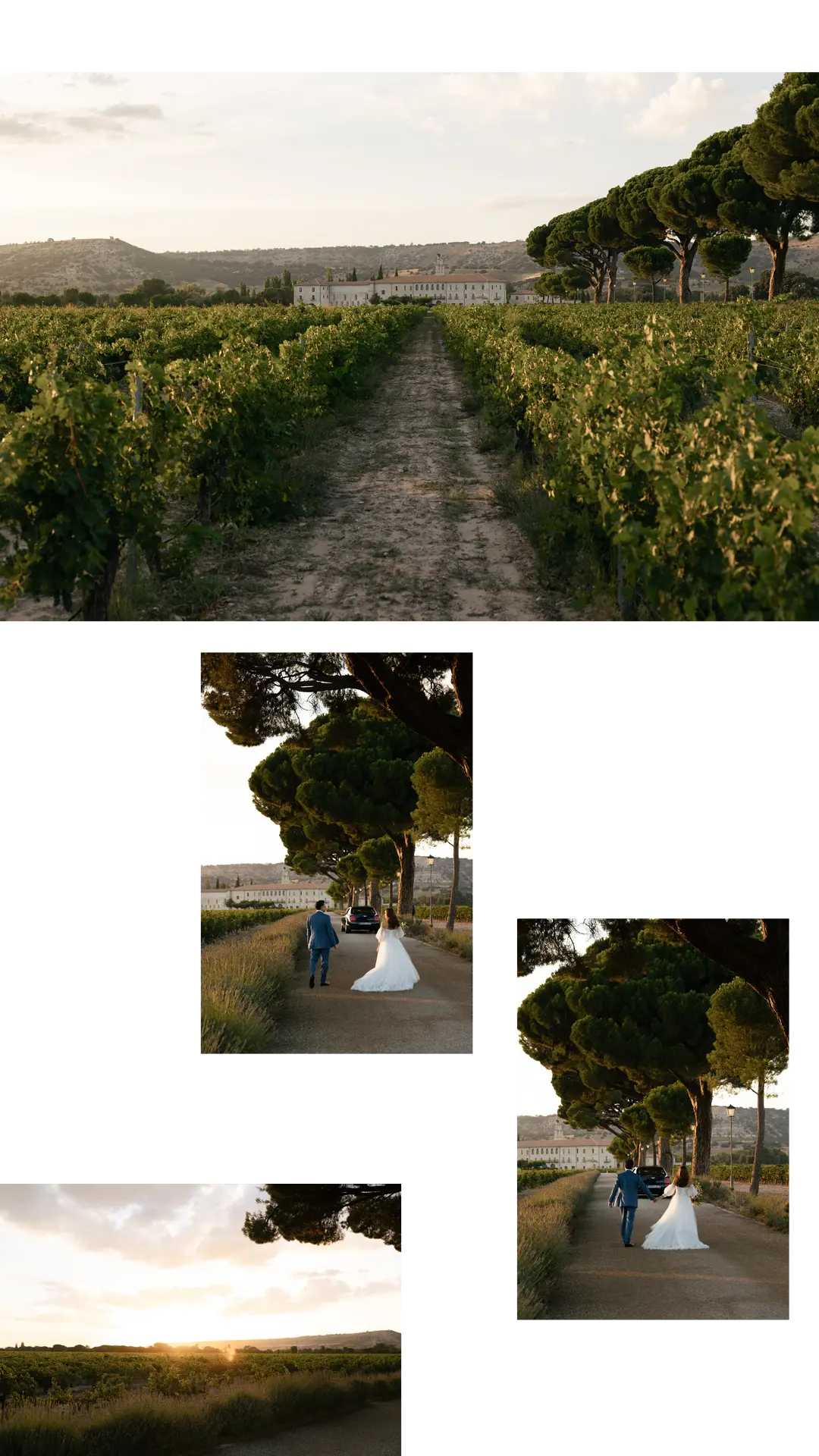 mágenes naturales y llenas de luz dorada, captadas por Luis Pizarro, fotógrafo de bodas de estilo atemporal y editorial