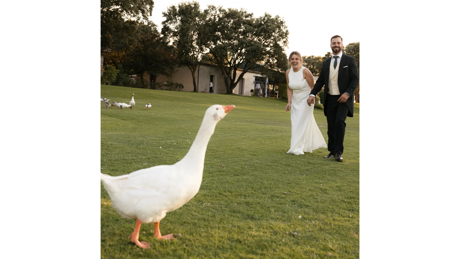 Preparativos de la novia — boda en Valladolid, Lago de Maíto