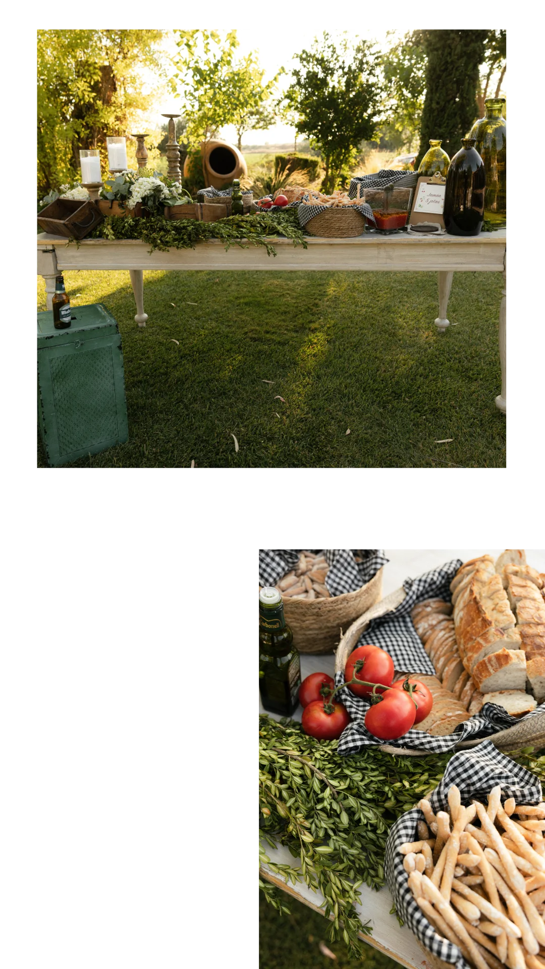 esión de pareja editorial en Los Lavaderos de Rojas — Toledo.