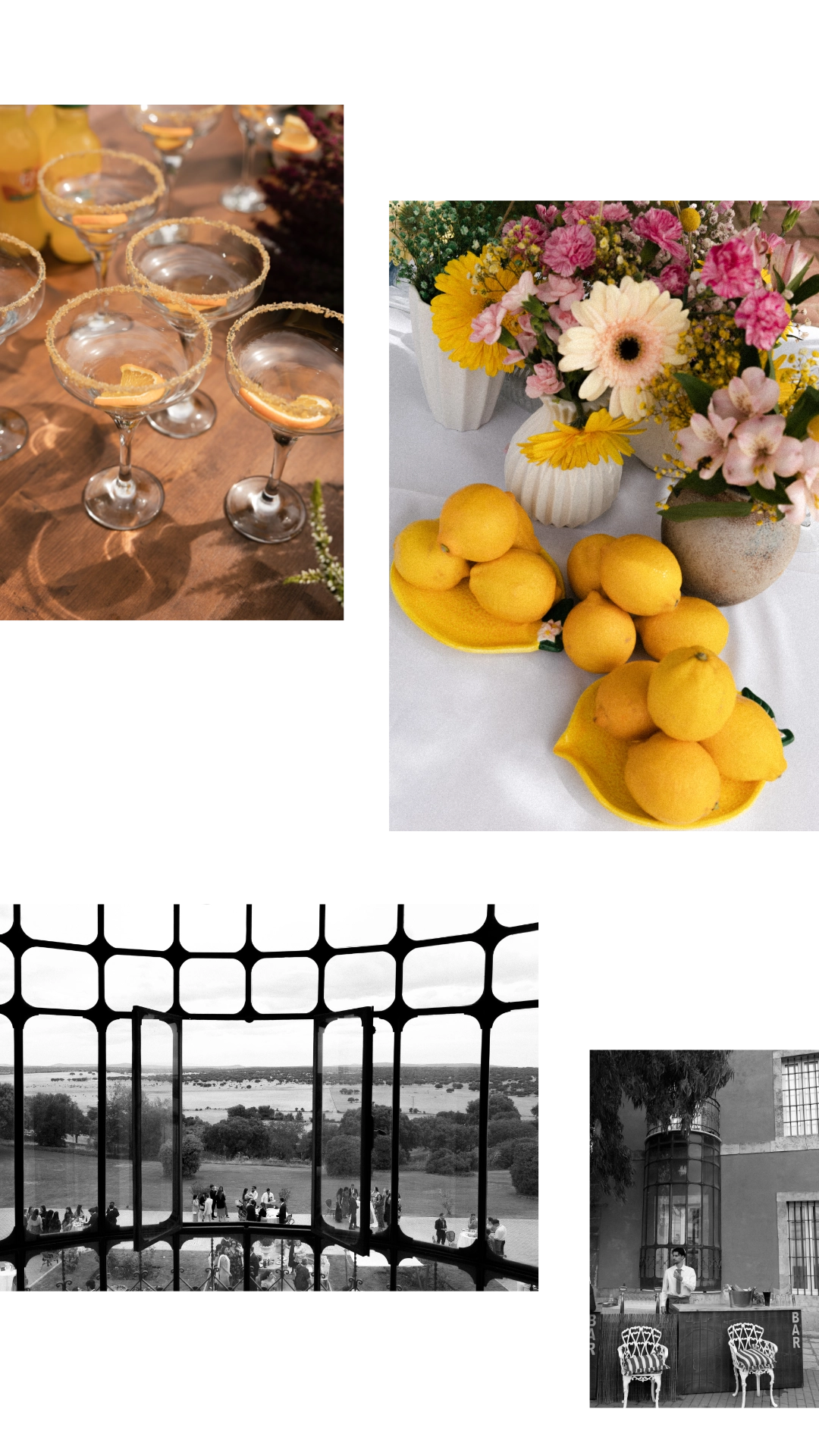 Cocktail de boda en Palacio Carrascalino Salamanca fotografiado por Luis Pizarro